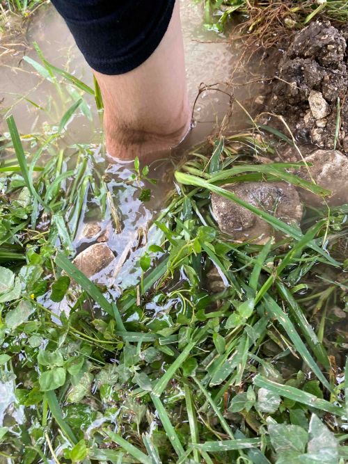 plumber elbow deep in a puddle of a flooded yard