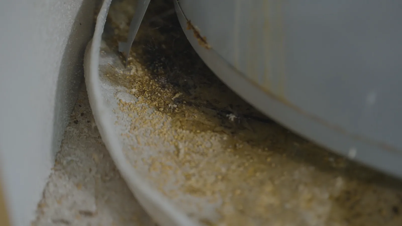 Rusty water heater tank base with sediment and moisture collecting in the drain pan, a sign of corrosion or a slow leak