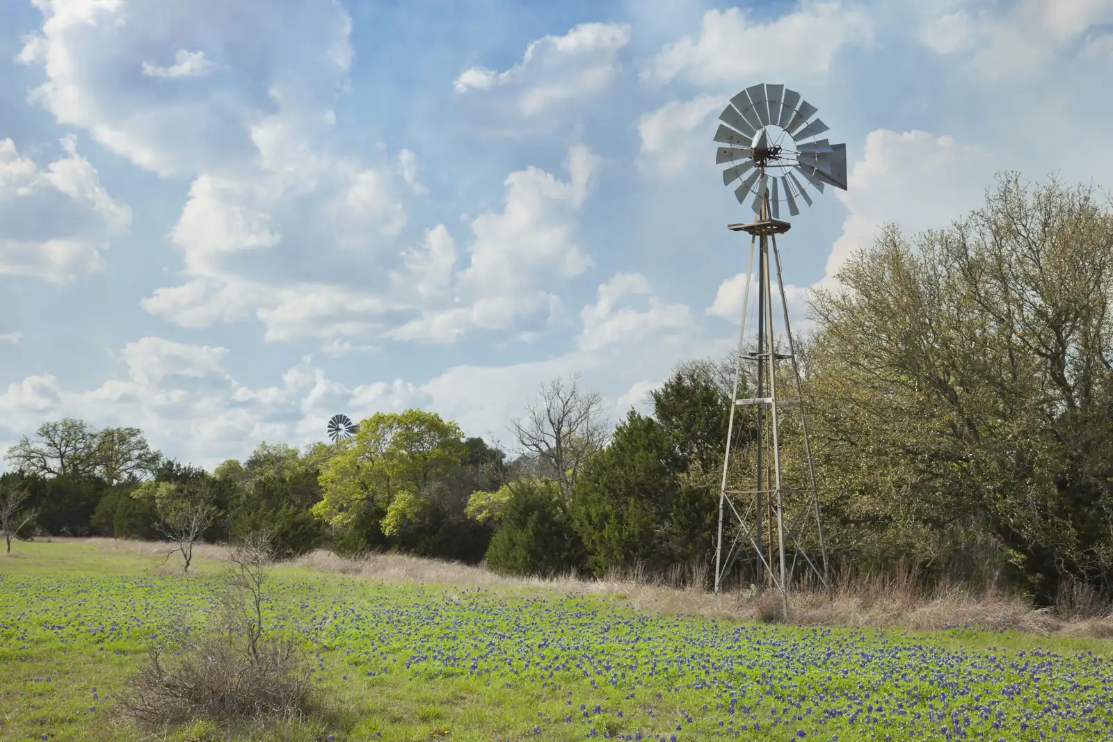 Windmill and bluebonnets under beautiful cloudy sky in the Texas Hill Country