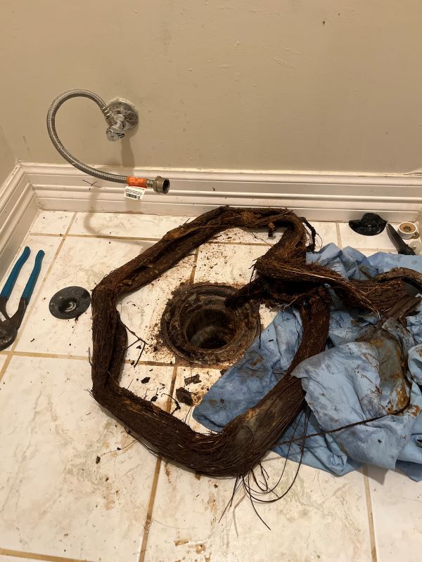 clog pulled during toilet drain cleaning in residential property